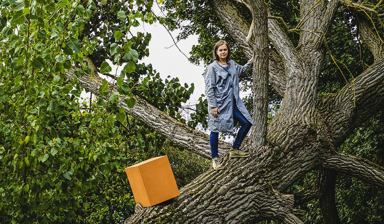 Tanja Busse mit dem orange Cube auf einem Baum