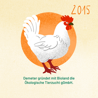 Jahr 2015: Demeter gründet mit Bioland die Ökologische Tierzucht gGmbH. Abgebildet ist ein Huhn