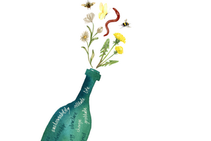 Weinflasche, aus der Insekten und Pflanzen kommen