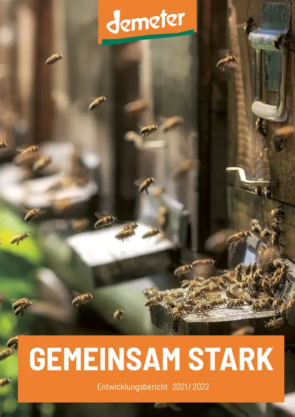 Cover des Entwicklungsberichts 2021 zeigt einen Bienenstock mit dem Titel "Gemeinsam stark"