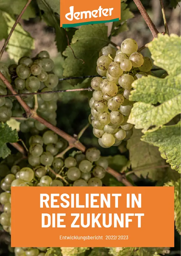 Covers des Entwicklungsberichts 2022 zeigt Weinrebe mit Trauben und dem Titel "Resilient in die Zukunft"