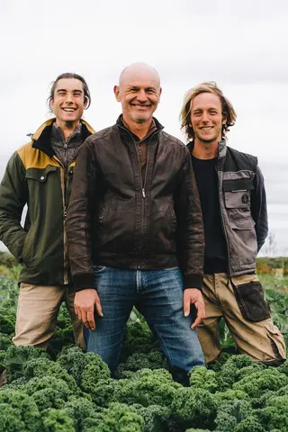 Drei Männer in einem Grünkohl-Feld