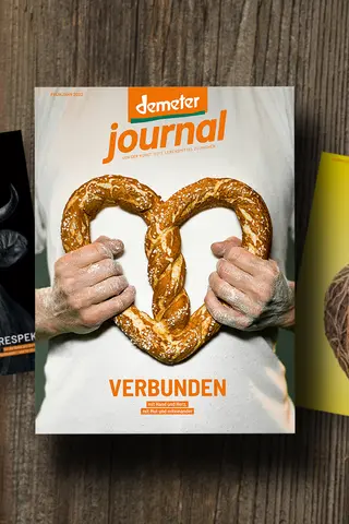 Demeter Journal 53