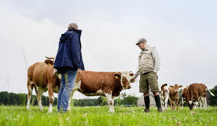 Elisabeth und Gyso von Bonin mit Kühen auf der Weide