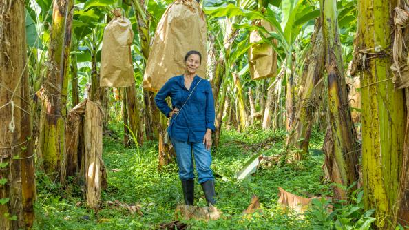 Frau in einer Bananen-Plantage