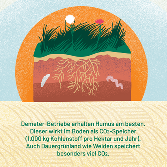 Demeter-Betriebe erhalten Humus am besten. Dieser wirkt im Boden als CO2-Speicher (1.000 kg Kohlenstoff pro Hektar und Jahr). Auch Dauergrünland wie Weiden speichert besonders viel CO2. Abgebildet ist ein mit Gras bewachsener, durchwurzelter Boden