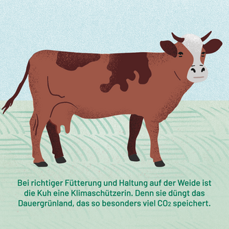 Bei richtiger Fütterung und Haltung auf der Weide ist die Kuh eine Klimaschützerin. Denn sie düngt das Dauergrünland, das so besonders viel CO2 speichert. Abgebildet ist eine Kuh auf der Weide